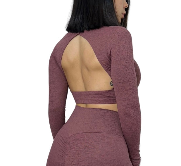 Long Sleeve Crop Top Open Back