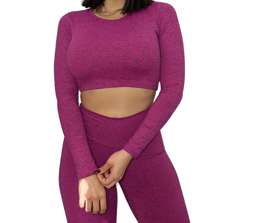 Long Sleeve Crop Top Open Back